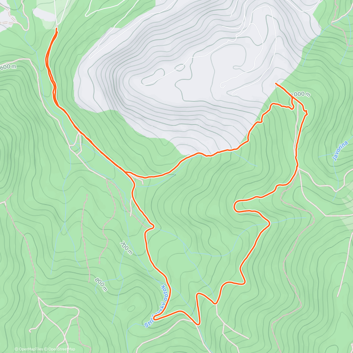 Карта физической активности (Morning Hike)