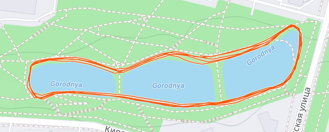 Map of the activity, Утренний забег