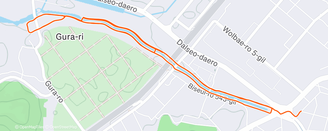 Map of the activity, Night Run