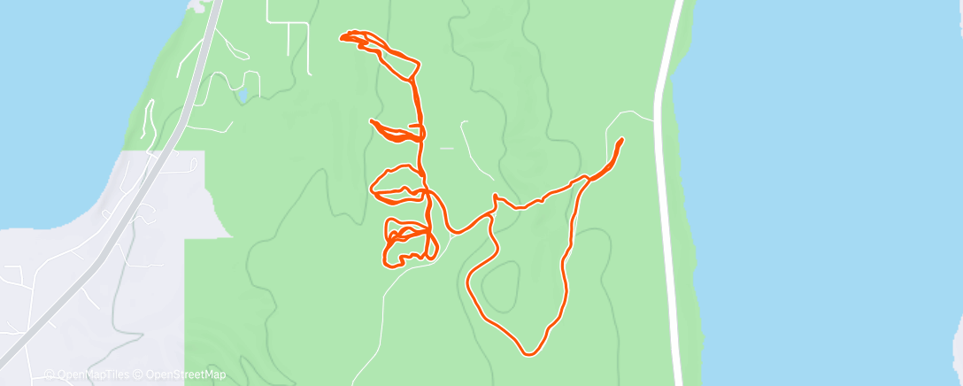 Map of the activity, Gamble paid off