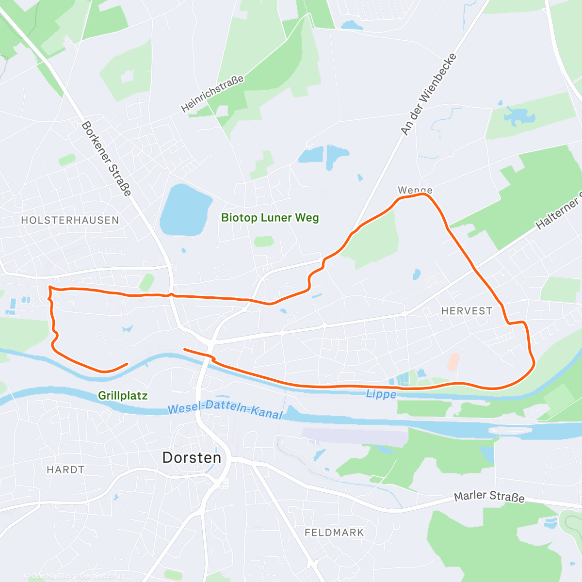 Карта физической активности (Mittagslauf)