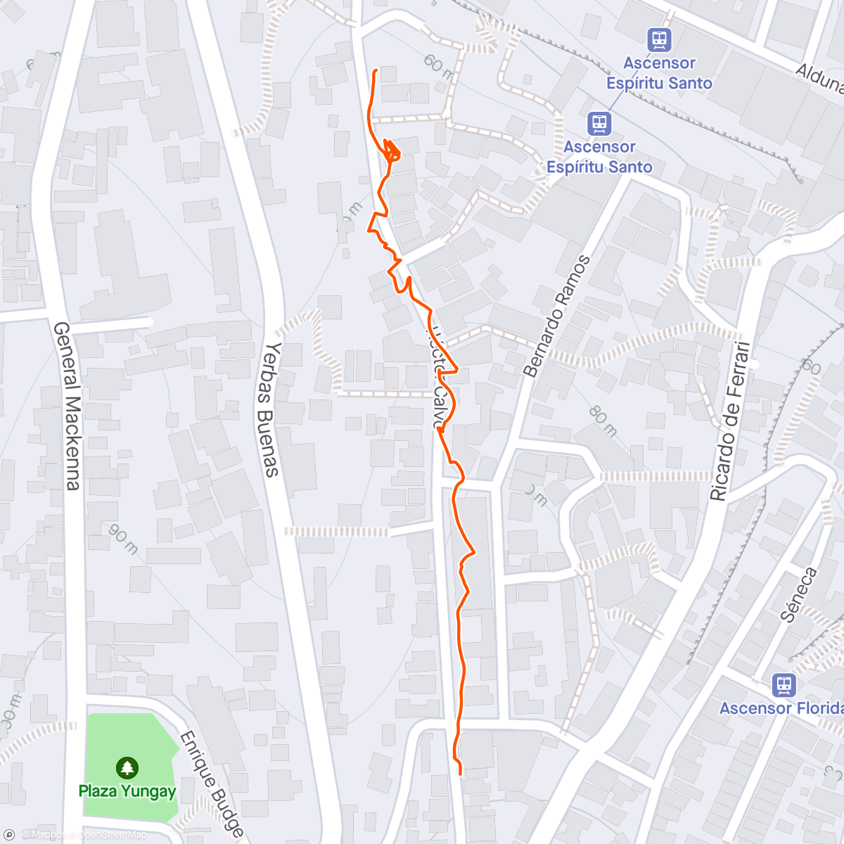 Map of the activity, Walk to dinner