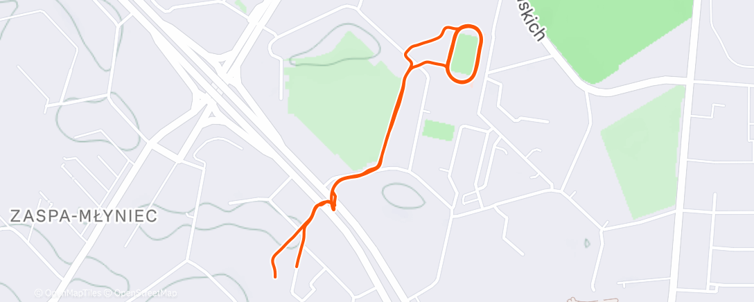 Карта физической активности (Easy run)