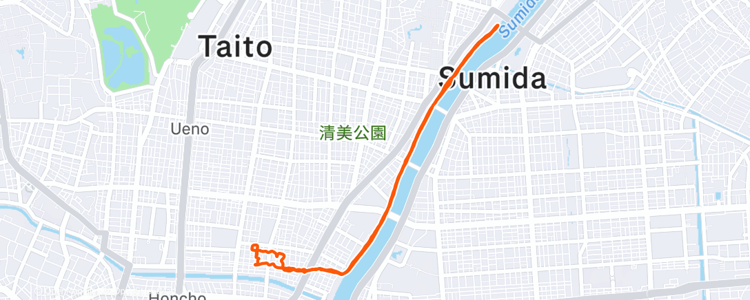 Map of the activity, Night quick run