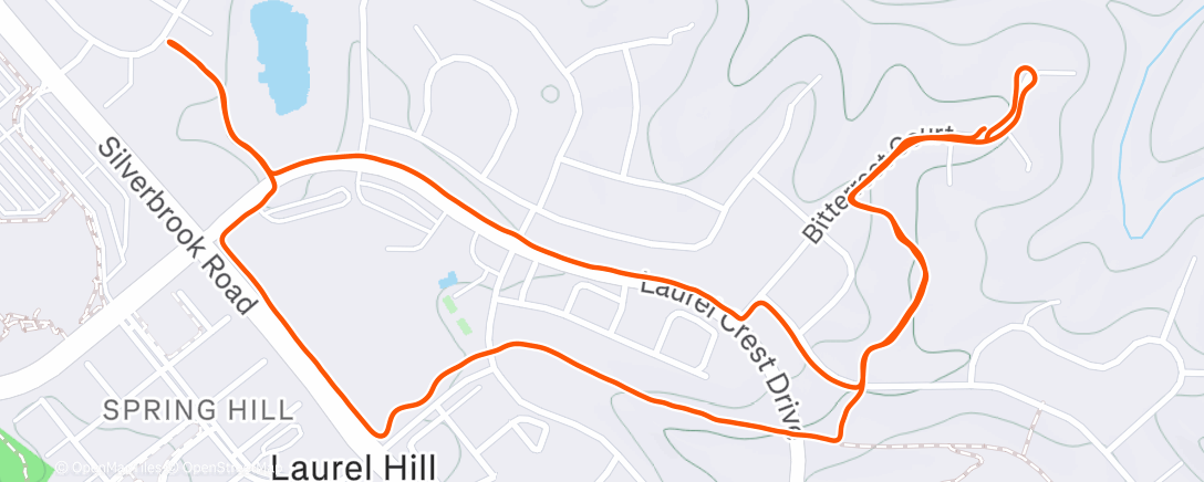 Map of the activity, Morning Run