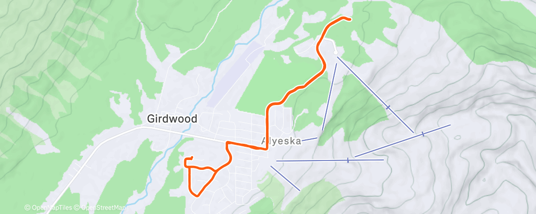 Карта физической активности (Morning Run)