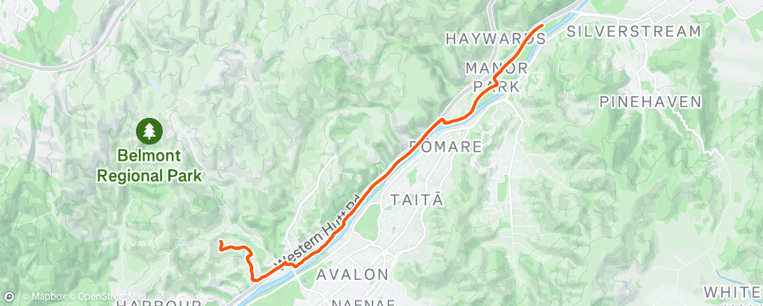 Map of the activity, Morning Run