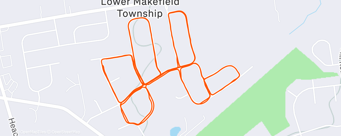 Map of the activity, Afternoon Run