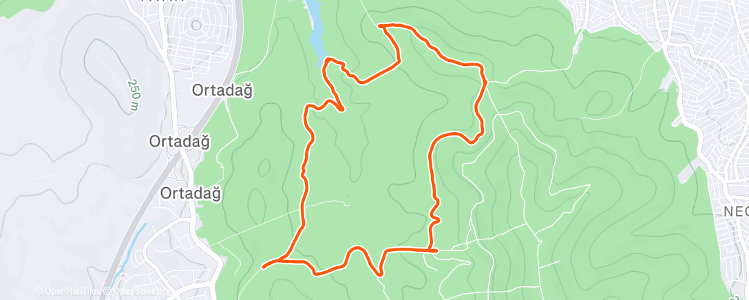 Карта физической активности (Aydos night run w/ Salomon HTTR)