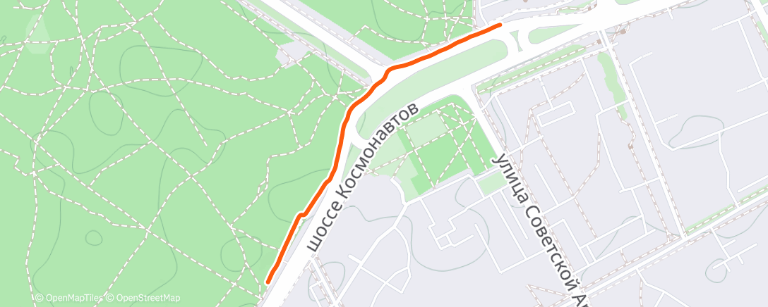 Map of the activity, Вечерний забег