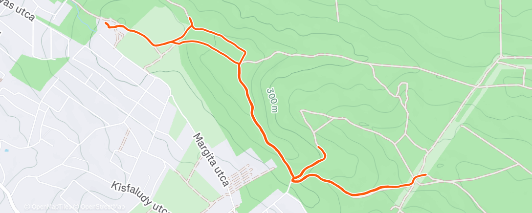 Map of the activity, Morning Trail Run