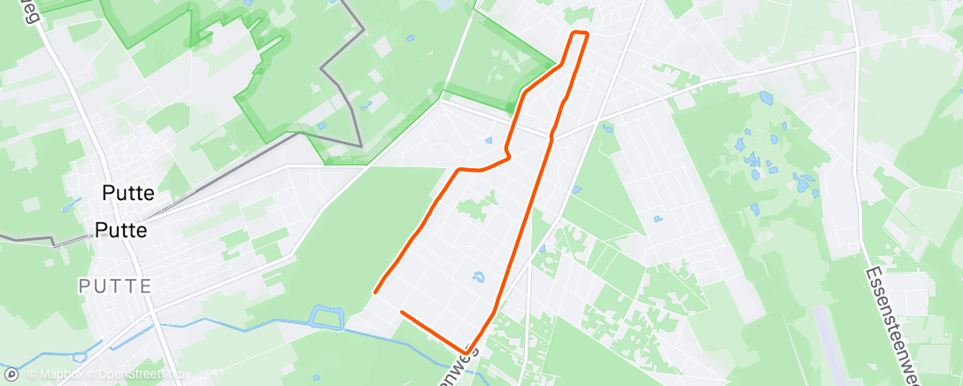 Карта физической активности (Lunch Run)