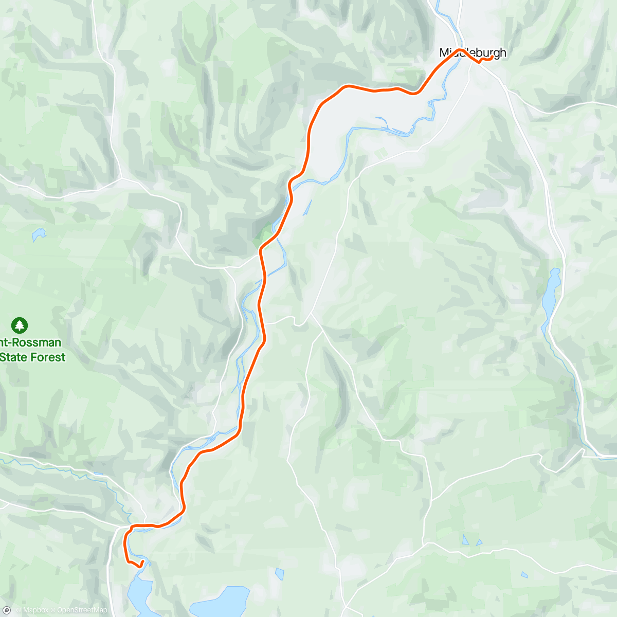 Mapa de la actividad (Z2: Out and back to Blenheim)