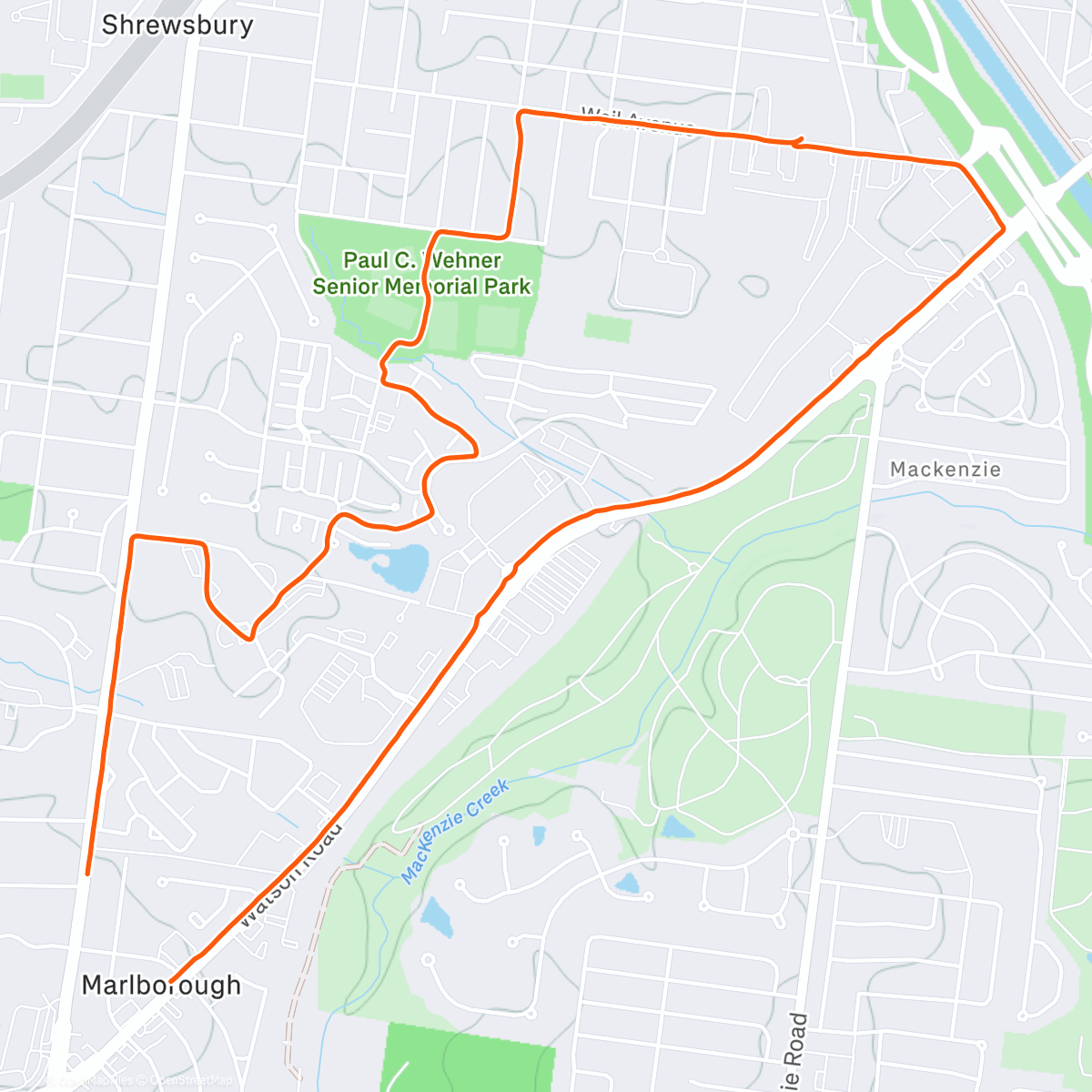 Map of the activity, Day 4,280—Cold Again, Current Goals and Talking about not eating Meat—