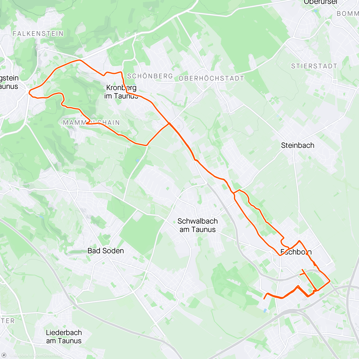 Map of the activity, Mammolshainer Berg Easy
