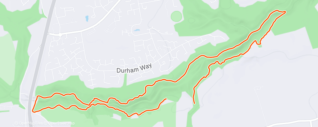 Map of the activity, Evening Trail Run