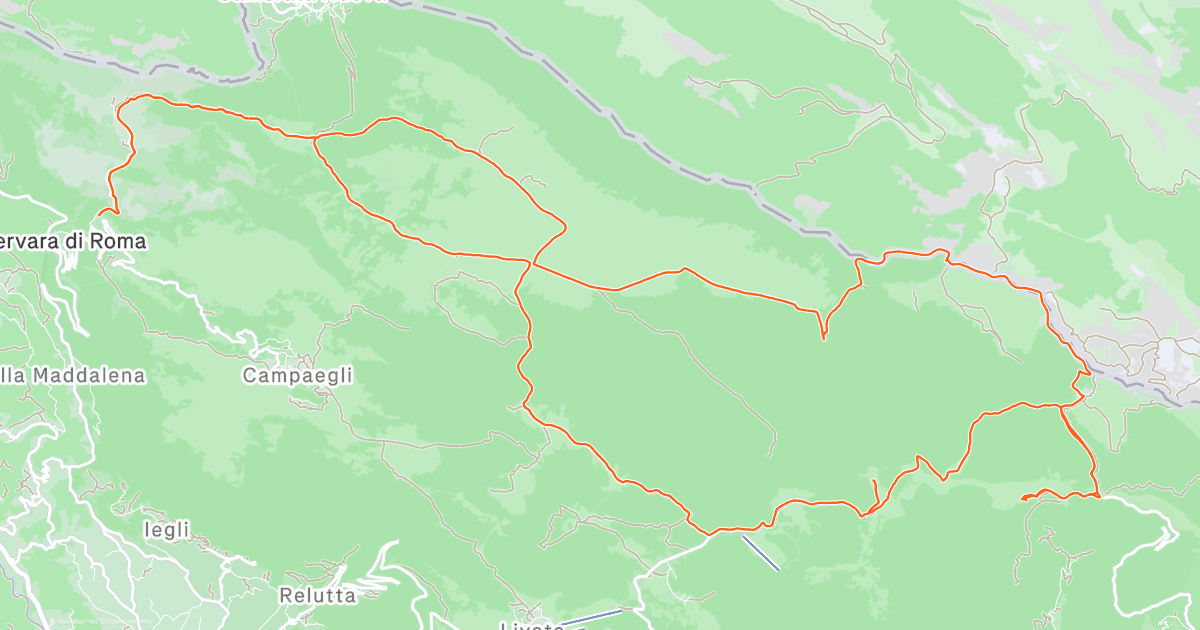 www.strava.com