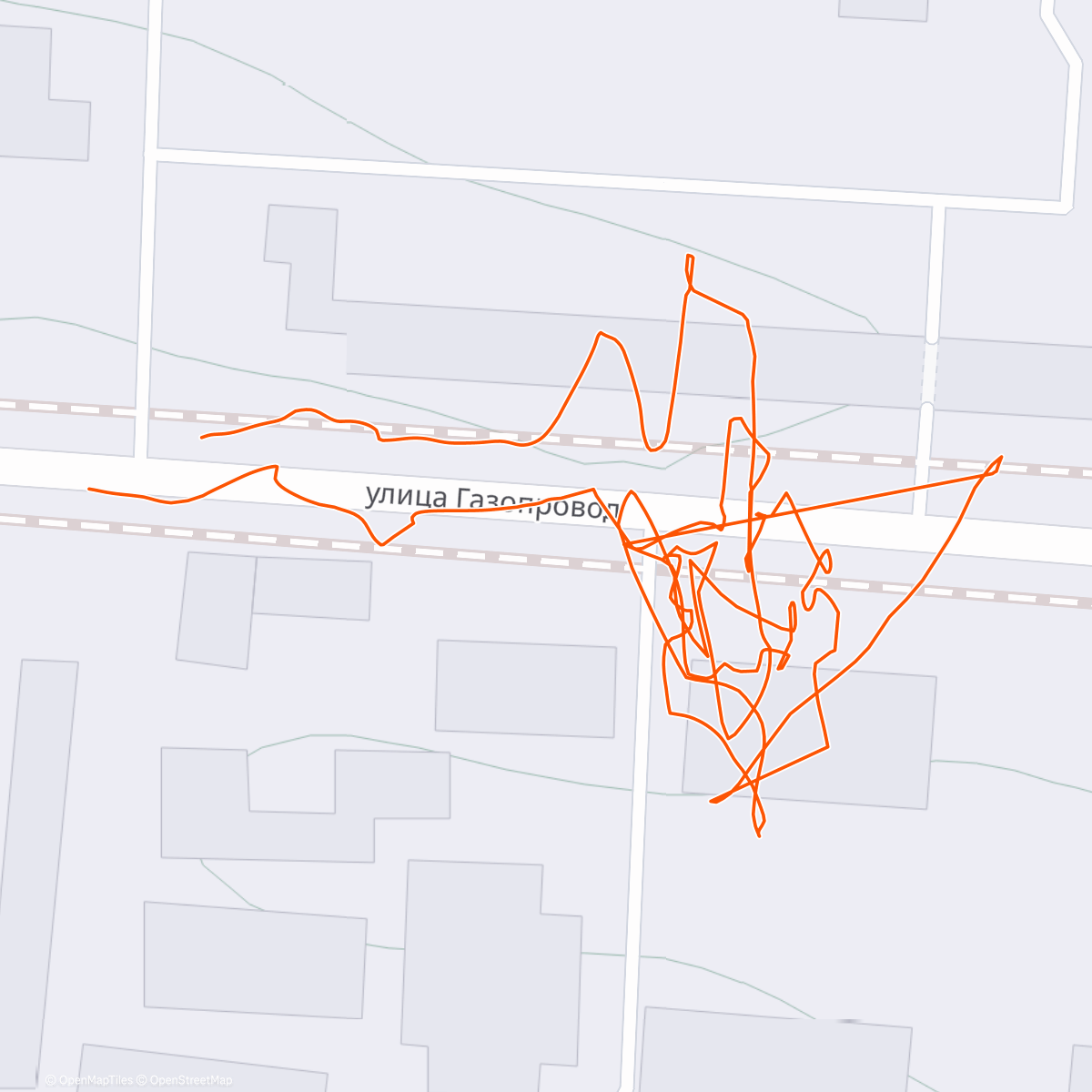 Map of the activity, Полуденный забег