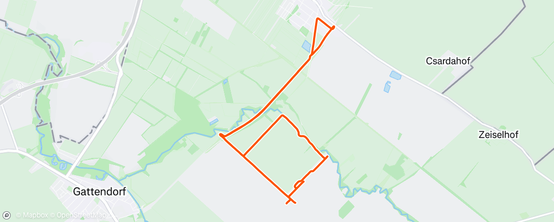 Map of the activity, Evening Run