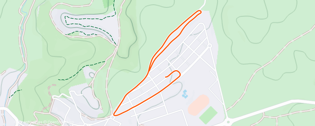 Карта физической активности (Run 2)