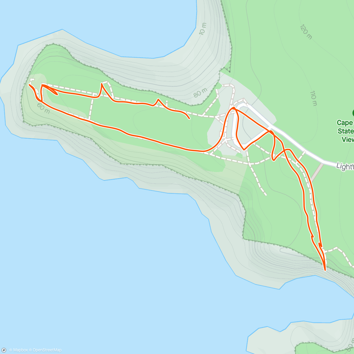 Mapa de la actividad, Cape Maers and the Octopus Tree