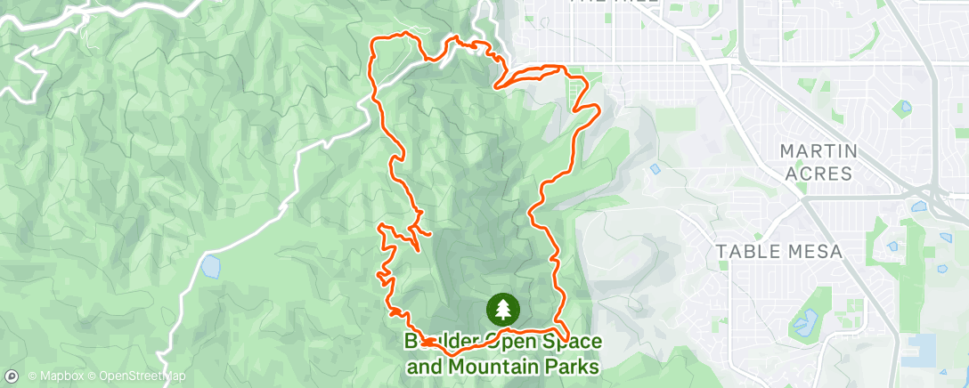 Map of the activity, Trail run with the boyzz