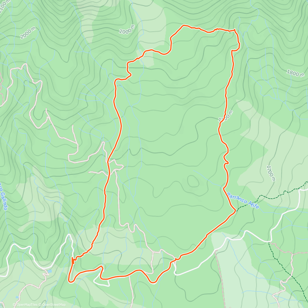 Карта физической активности (Morning Hike)