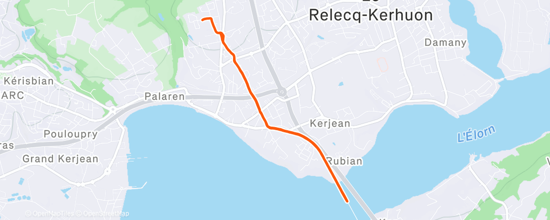 Карта физической активности (Morning Run)