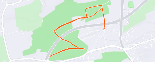 Strava Runner Profile Carlo Melis