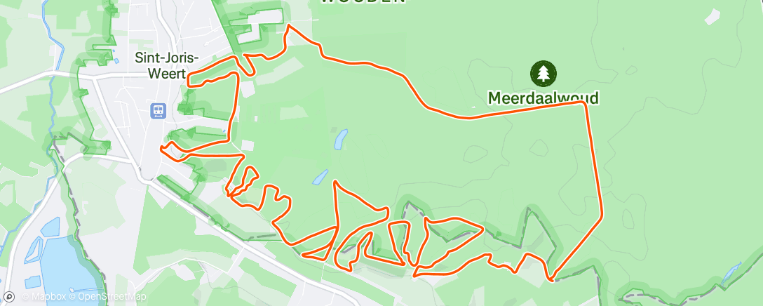 Карта физической активности (Middagwandeling)