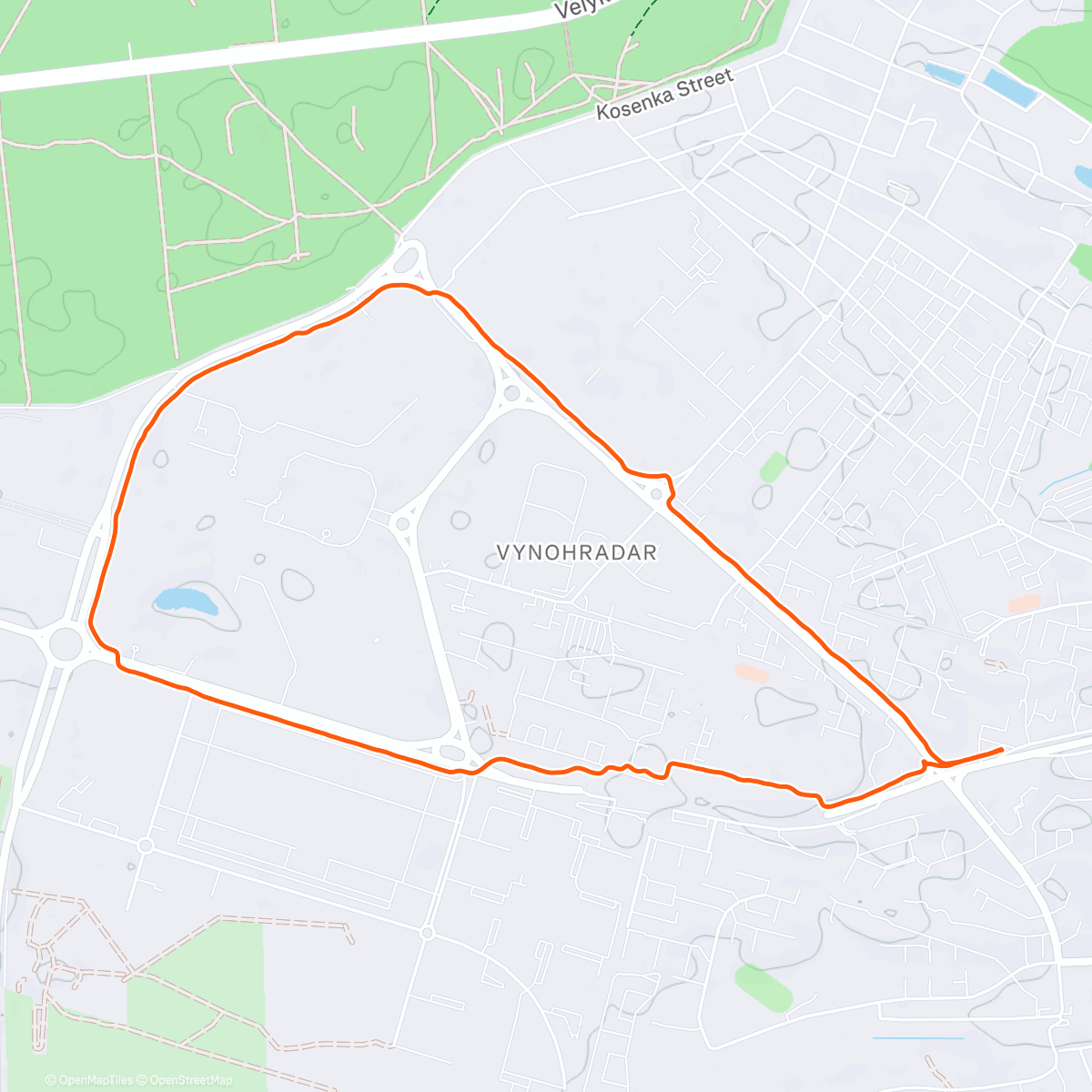 Карта физической активности (Утренний забег)