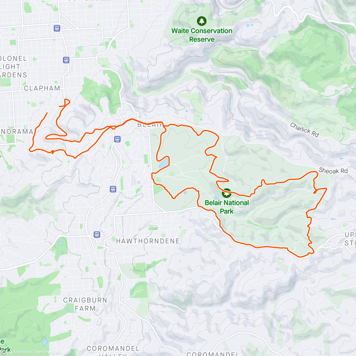 Map of the activity, A bit more single track