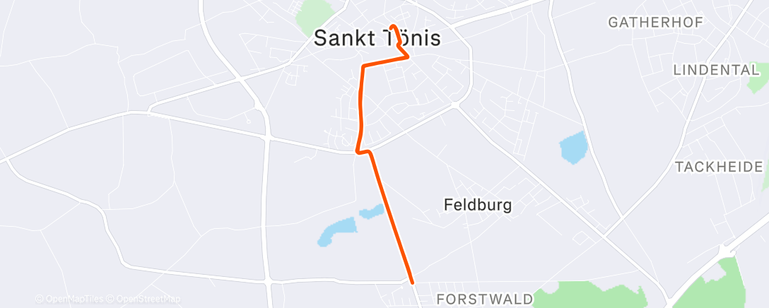 Map of the activity, Shopping for Lunch