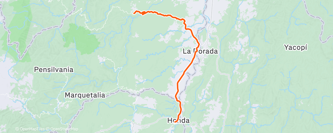 Map of the activity, Honda-Norcacia