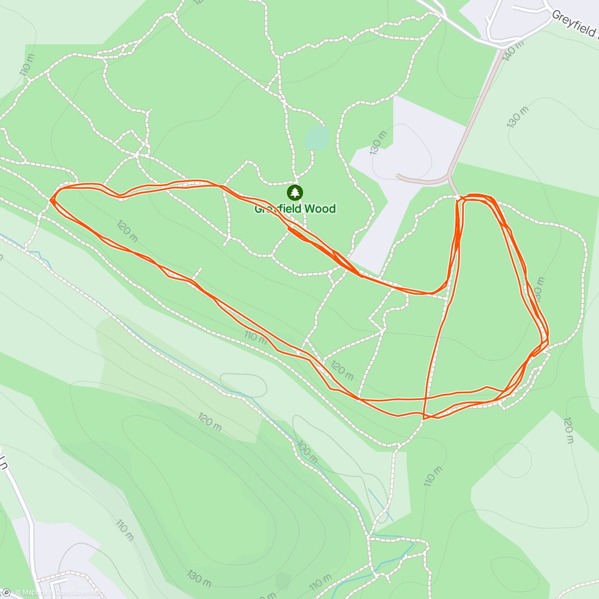 Map of the activity, Through the forest