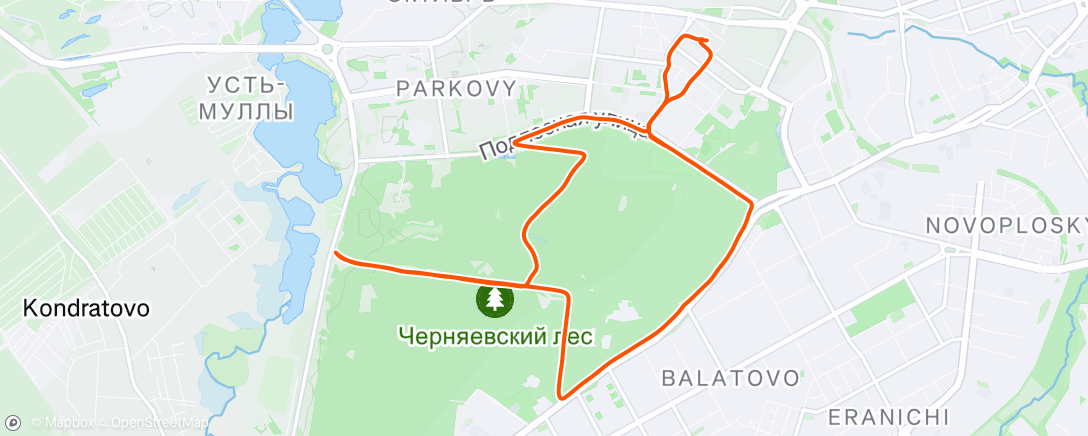 Map of the activity, Дневной забег