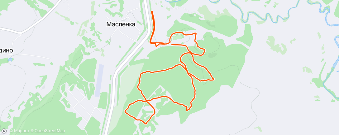Mapa de la actividad, ПР Владимир | День 3 | Лес 1
