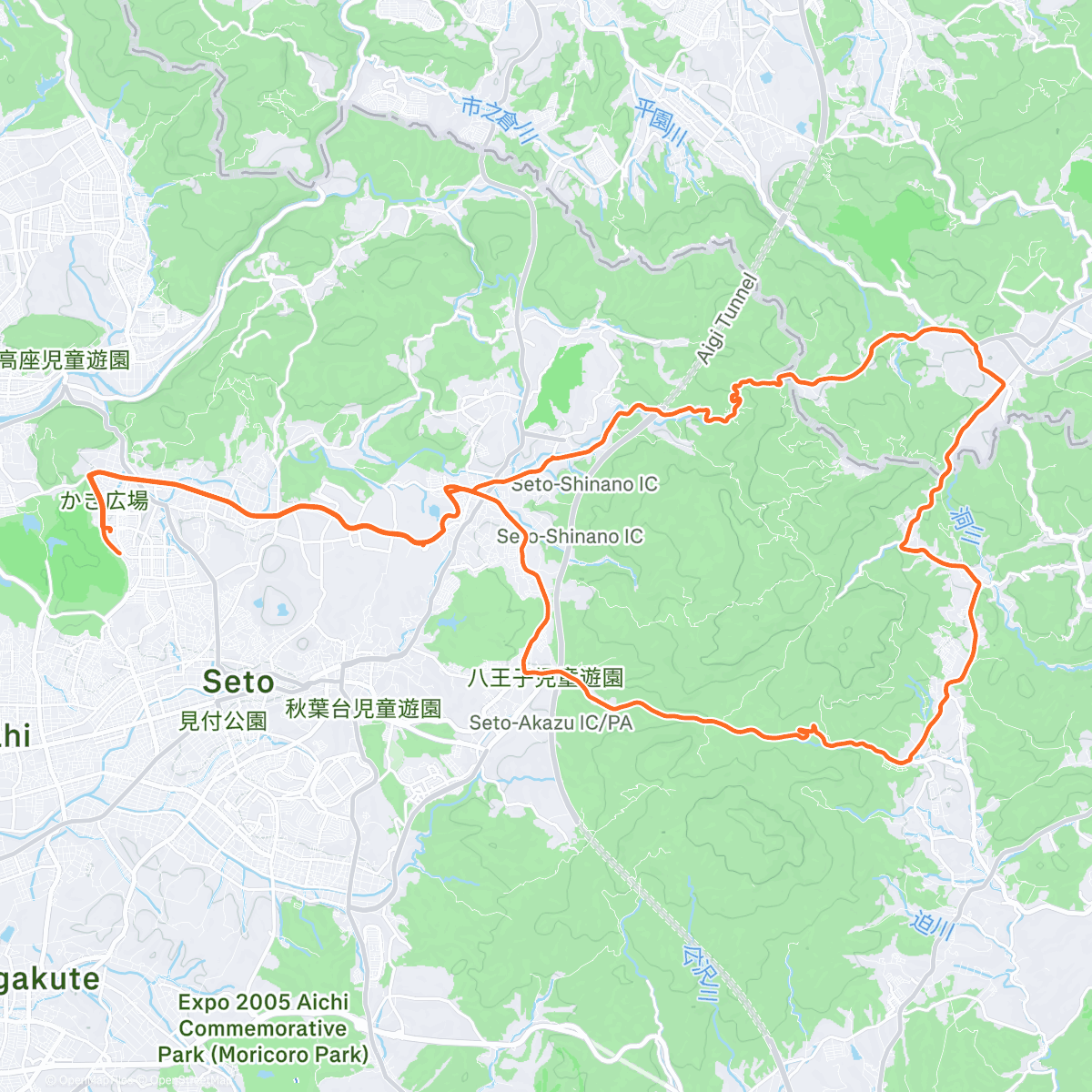 Карта физической активности (走り納め)