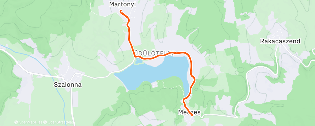 Карта физической активности (Afternoon Run)