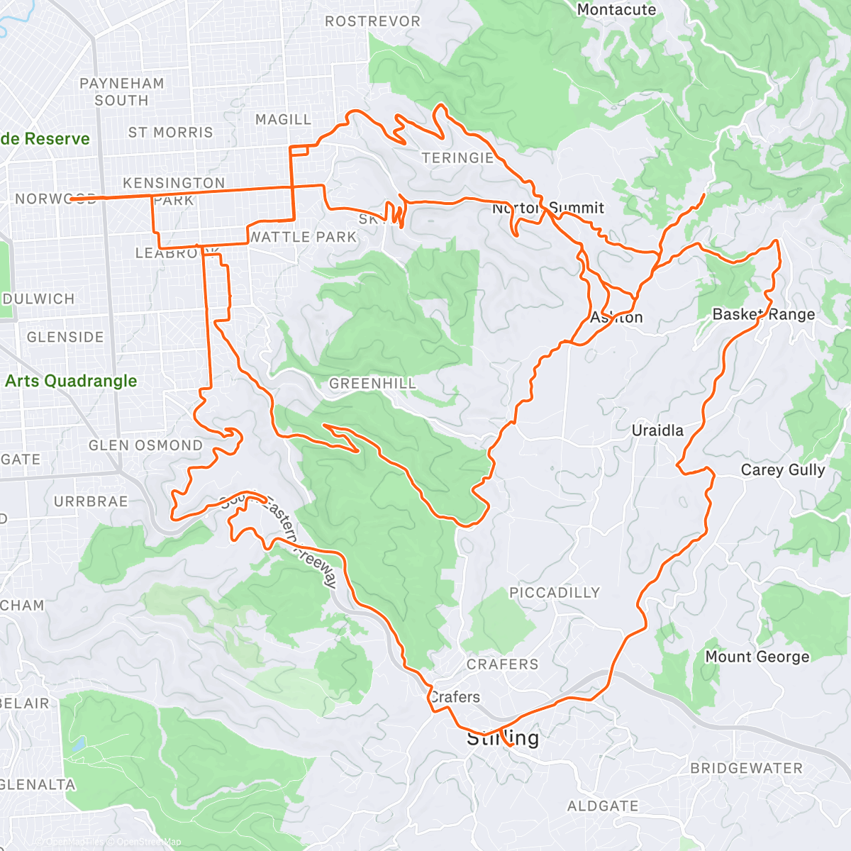 Карта физической активности (A little of this, a little of that, a little ham)