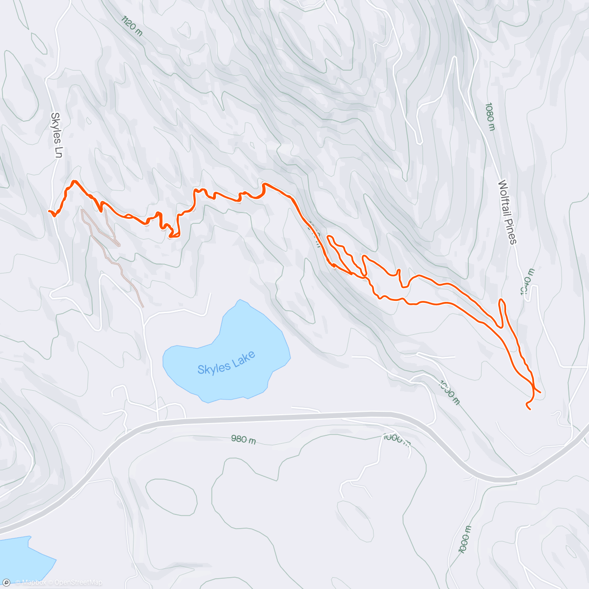 Map of the activity, Lion Mt