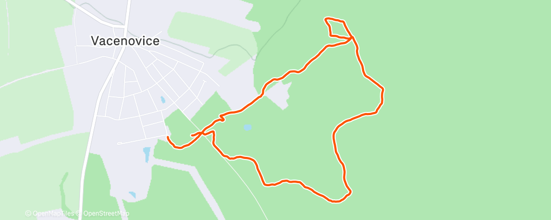 Карта физической активности (Morning Run)