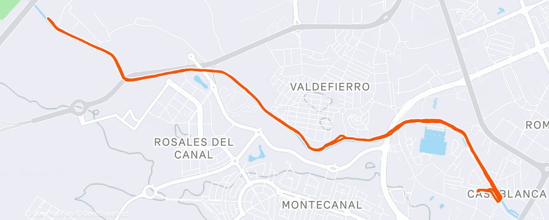 Карта физической активности (Morning Run)