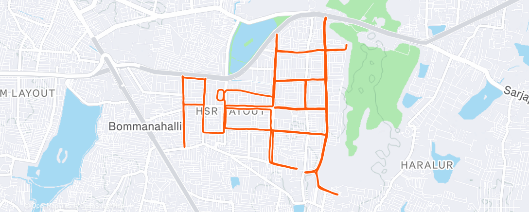 Map of the activity, Morning Run