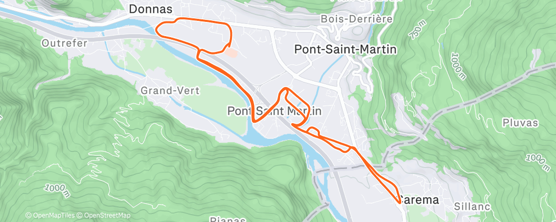 Map of the activity, Cani sciolti