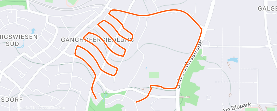 Карта физической активности (Sechs legende Gänse?! Warum auch nicht 🙈)