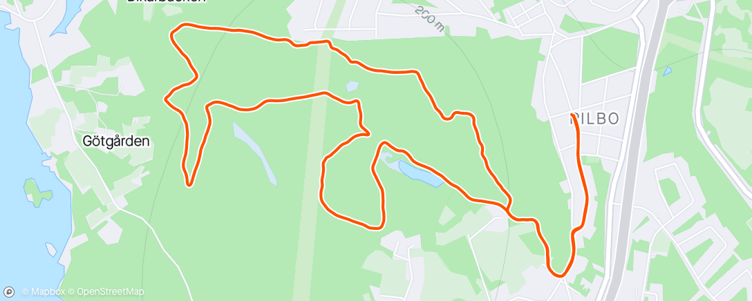 Mapa de la actividad, Afternoon Trail Run
