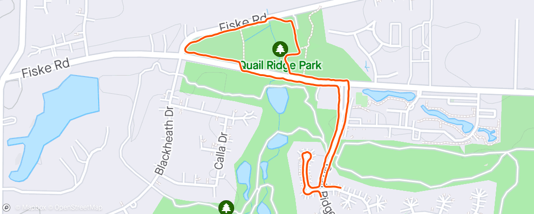 Map of the activity, Wife walk.