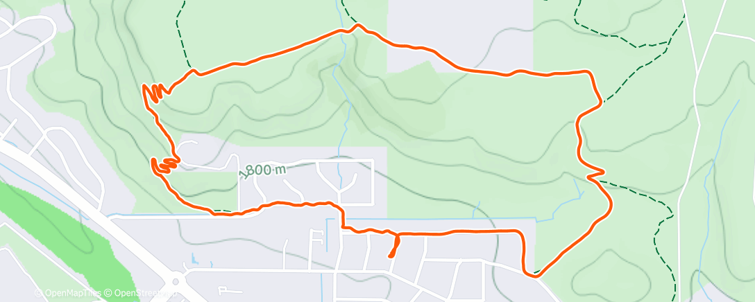 Карта физической активности (Dog walk)