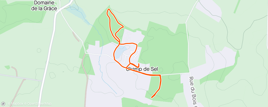 Map of the activity, Marche en poussette en forêt avec Nora